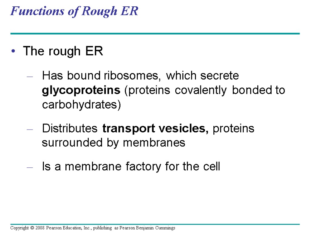 Functions of Rough ER The rough ER Has bound ribosomes, which secrete glycoproteins (proteins